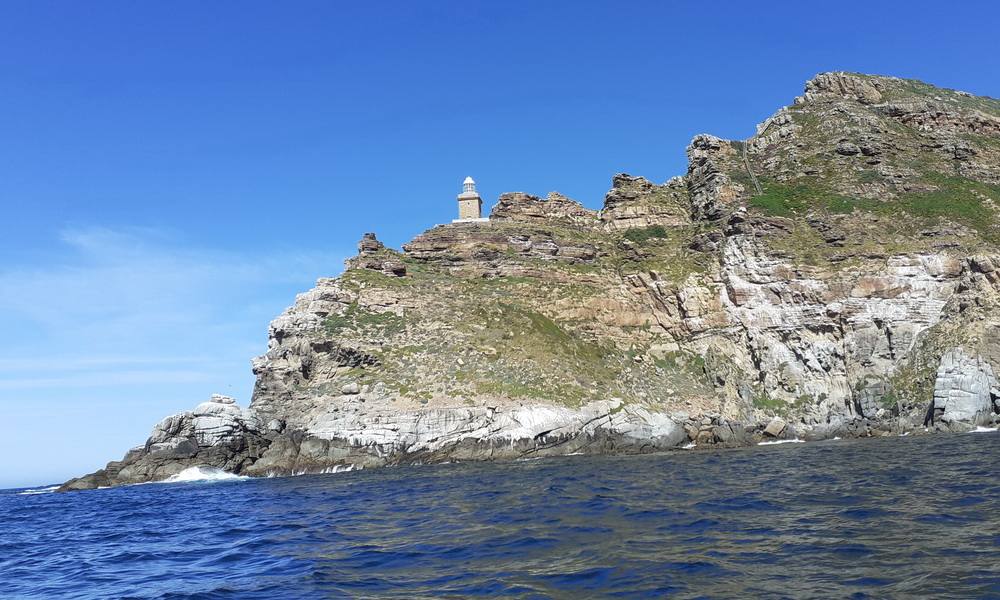 Children swimming and snorkeling during a Cape Town boat trip excursion